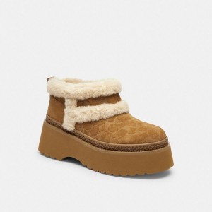 Botas COACH Christinaie In Signature Suede Feminino Marrom | 10675ADJB