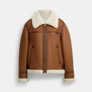 Casaco COACH Shearling Aviator Feminino Marrom | 81625ECFO