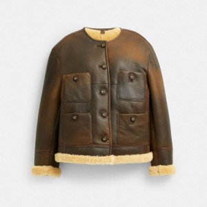 Casaco COACH Shearling Cardigan Feminino Marrom | 19258RDWL