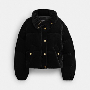 Casaco COACH Velvet Puffer Feminino Pretas | 48095OCVW