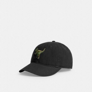 Chapéu COACH Rexy Patch Baseball Masculino Pretas | 50946SZXJ