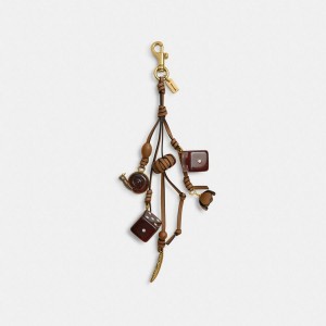 Charms COACH Cluster Dice Bag Feminino Marrom | 23108ILMK