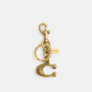 Charms COACH New Year Signature Snake Bag Feminino Douradas | 19074PMGI