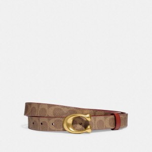 Cintos COACH Sculpted C Buckle Cut To Size Reversible, 25 Mm Feminino Marrom | 81762GRES