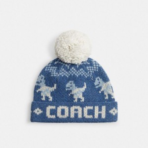 Gorro COACH Rexy Fair Isle Print Feminino Azuis | 18632NGQU