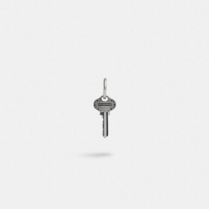 Jóias COACH Sterling Key Single Huggie Earring Masculino Prateadas | 74905BWVG