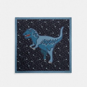 Lenço COACH Shooting Star Rexy Print Silk Square Feminino Azuis | 80154KCYJ