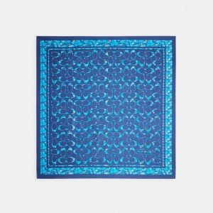 Lenço COACH Signature Rose Meadow Print Silk Square Feminino Azul Marinho | 81564FATY