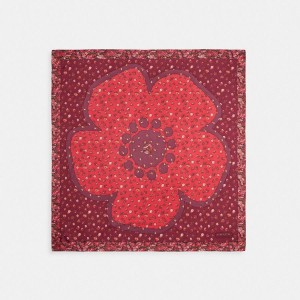 Lenço COACH Tea Rose Floral Print Silk Square Feminino Vermelhas | 13569SRYA