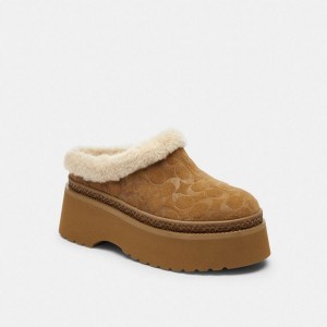 Mocassins COACH Cecelia Clog In Signature Suede Feminino Marrom | 76503EKBT