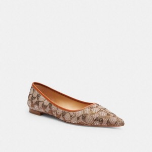 Mocassins COACH Daphne Flat In Crystal Signature Jacquard Feminino Marrom | 05329BNSK