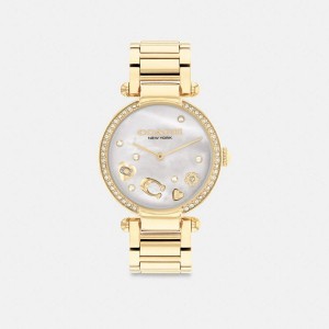 Relógios COACH Cary, 34 Mm Feminino Douradas | 60591TZNO