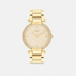 Relógios COACH Cary, 34 Mm Feminino Douradas | 71382RDIW