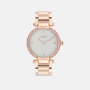 Relógios COACH Cary, 34 Mm Feminino Douradas | 53786NHYW