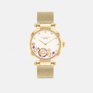 Relógios COACH Cary, 34 Mm Feminino Douradas | 64795WOIN