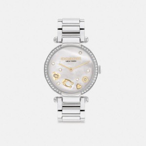 Relógios COACH Cary, 34 Mm Feminino Prateadas | 49251VEDO