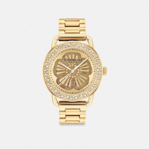Relógios COACH Cruiser Automatic, 37 Mm Feminino Douradas | 17598CJRN