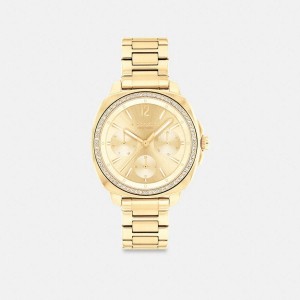 Relógios COACH Kitt Chronograph, 34 Mm Feminino Douradas | 47216MYRQ
