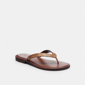 Sandálias COACH Brianna Flip Flop In Signature Canvas Feminino Marrom | 95304VXEF