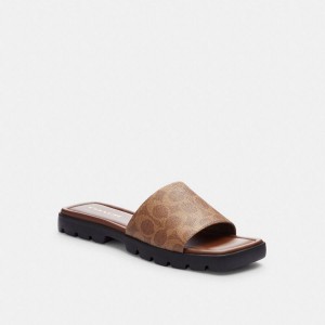 Sandálias COACH Florence In Signature Canvas Feminino Marrom | 10235SYXH
