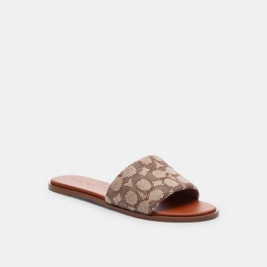 Sandálias COACH Holly In Signature Textile Jacquard Feminino Marrom | 85791PGVU