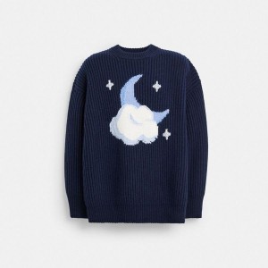 Suéter COACH Chunky Graphic In Recycled Wool Feminino Azuis | 70942YNBX