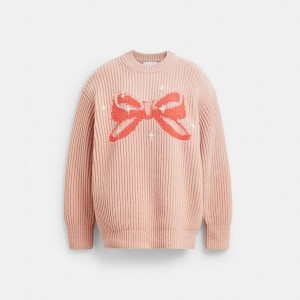 Suéter COACH Crewneck Bow In Recycled Wool Masculino Rosa | 46790LIKV