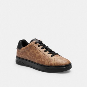 Tenis COACH High Line In Signature Canvas Masculino Marrom | 24370RLDC