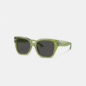 Óculos de Sol COACH Charms Oversized Square Feminino Verdes | 10549LOWP