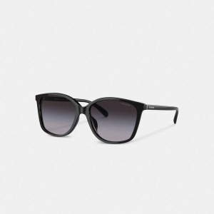 Óculos de Sol COACH Embedded Wire Square Feminino Pretas | 80461TYGX