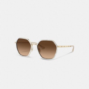 Óculos de Sol COACH Embellished Narrow Metal Hexagon Feminino Marrom | 74981ARGD