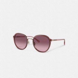 Óculos de Sol COACH Hangtag Geometric Round Feminino Rosa | 53690LDJW