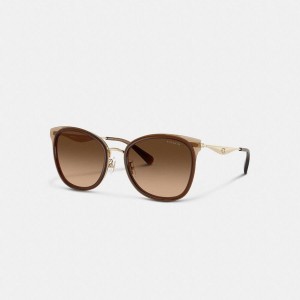 Óculos de Sol COACH Hardware Cat Eye Feminino Marrom | 56742MHDO