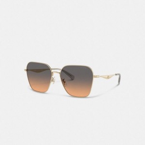 Óculos de Sol COACH Hardware Metal Hexagon Feminino Pretas | 23570DYXS