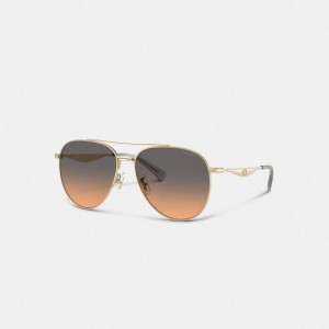 Óculos de Sol COACH Hardware Metal Pilot Feminino Pretas | 18597QDPF