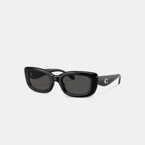 Óculos de Sol COACH Hardware Narrow Rectangle Feminino Pretas | 58269UXZW