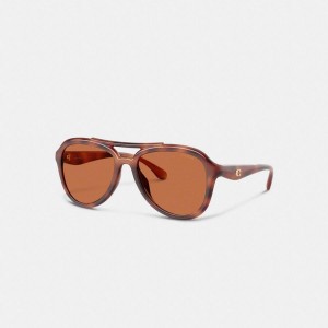 Óculos de Sol COACH Hardware Pilot Feminino Marrom | 74623FQDJ