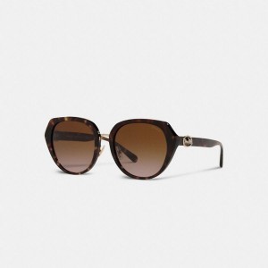 Óculos de Sol COACH Horse And Carriage Oversized Round Feminino Marrom | 75389ZXBK