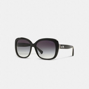 Óculos de Sol COACH Horse And Carriage Square Feminino Pretas | 12638TOBD