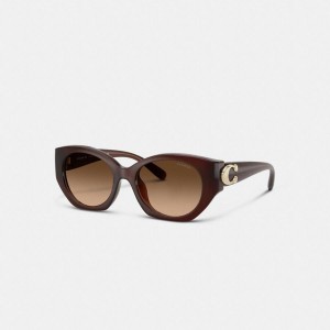 Óculos de Sol COACH Idol Oval Feminino Marrom | 67591DXCM