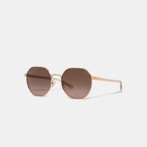 Óculos de Sol COACH Metal Hexagon Feminino Marrom | 06872IDBG