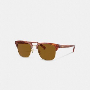 Óculos de Sol COACH Retro Masculino Marrom | 76092LVQI
