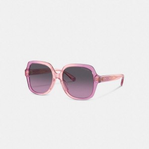 Óculos de Sol COACH Signature Ombré Oversized Square Feminino Rosa | 89514SUJD