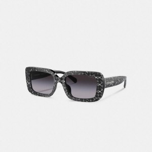 Óculos de Sol COACH Signature Oversized Rectangle Feminino Pretas | 04567PKFN