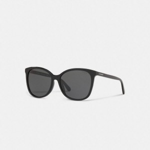 Óculos de Sol COACH Signature Workmark Square Feminino Pretas | 09751BIKW