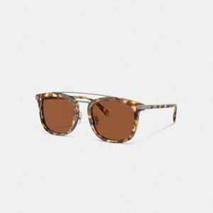 Óculos de Sol COACH Wrap Around Hangtag Browbar Masculino Marrom | 61042VLXZ