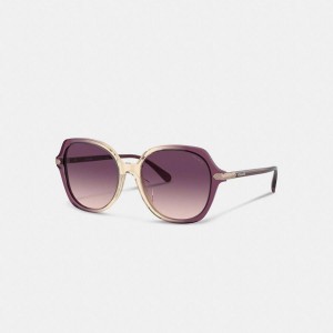 Óculos de Sol COACH Wrap Around Hangtag Oversized Geometric Round Feminino Roxo | 37689UAPQ