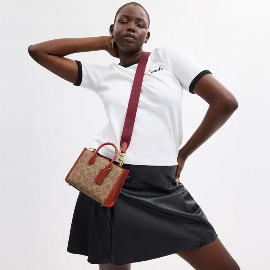 Bolsa Crossbody COACH Ace Tote 17 In Signature Canvas Feminino Marrom | 85246SFEQ