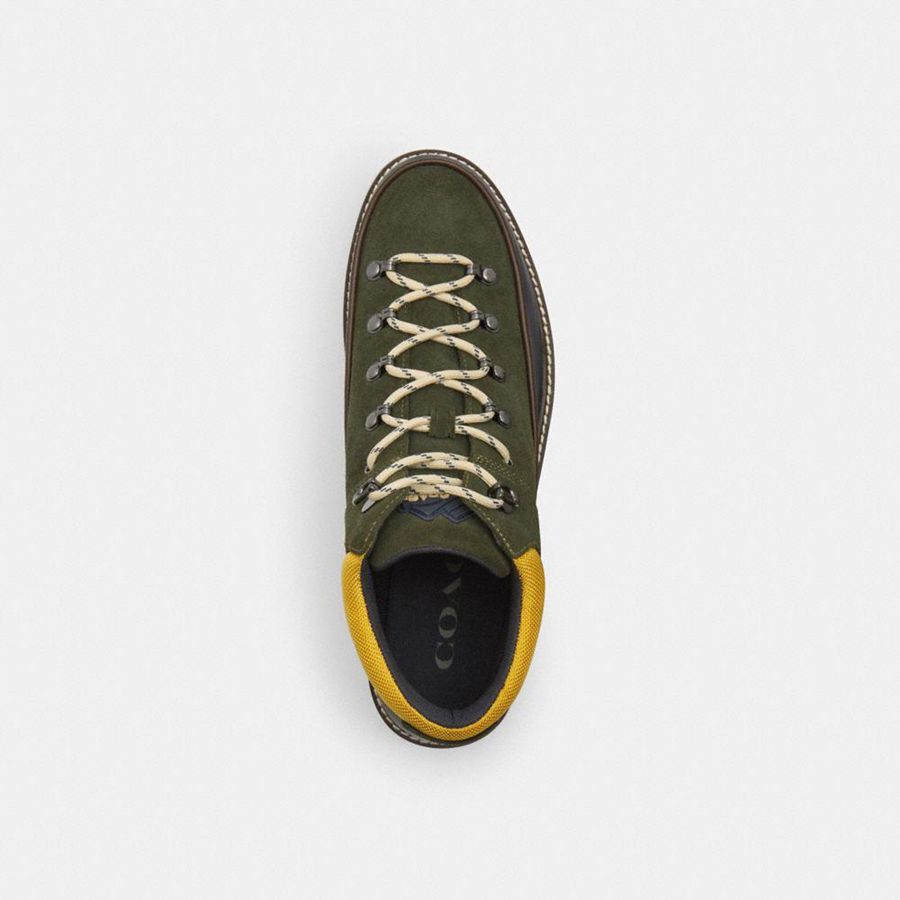 Botas COACH Bradley Hiker Masculino Verdes | 21735PLXC