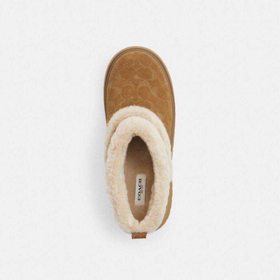 Botas COACH Christinaie In Signature Suede Feminino Marrom | 10675ADJB